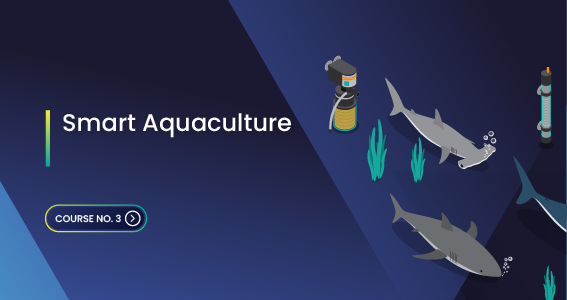 Smart Aquaculture FF03